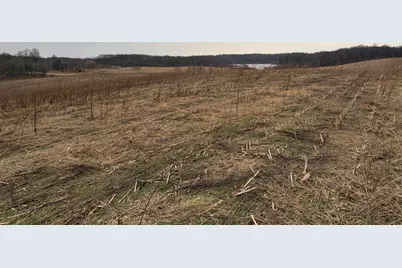 Born Street, Jones, MI 49061 - Photo 11