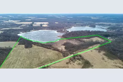 Born Street, Jones, MI 49061 - Photo 7