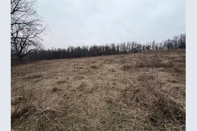 Born Street, Jones, MI 49061 - Photo 41