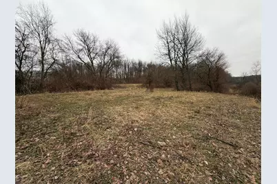 Born Street, Jones, MI 49061 - Photo 23