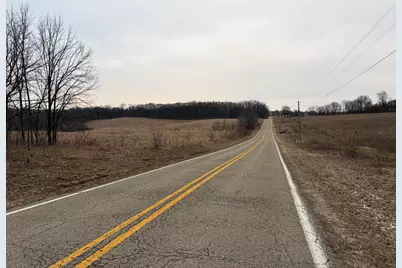 Born Street, Jones, MI 49061 - Photo 9