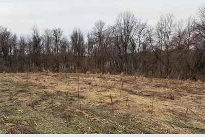 Born Street, Jones, MI 49061 - Photo 33