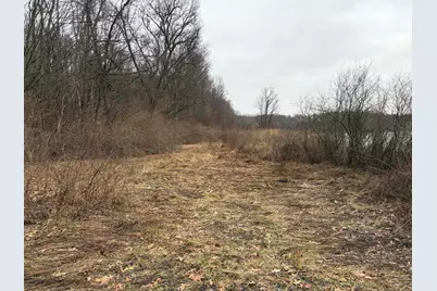 Born Street, Jones, MI 49061 - Photo 25