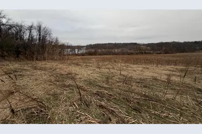 Born Street, Jones, MI 49061 - Photo 35