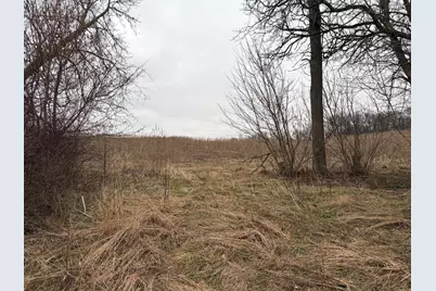 Born Street, Jones, MI 49061 - Photo 15