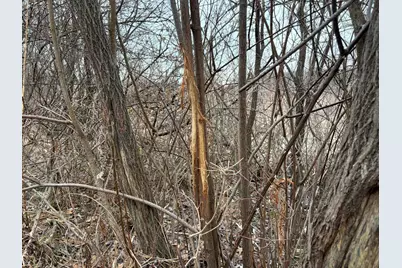 Born Street, Jones, MI 49061 - Photo 19