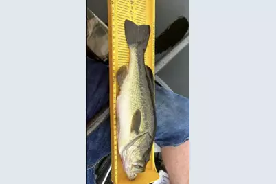 520 N Campbell Road, Fountain, MI 49410 - Photo 75