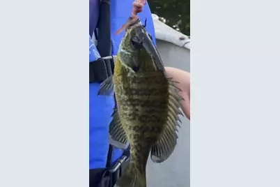 520 N Campbell Road, Fountain, MI 49410 - Photo 77