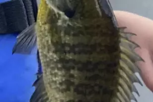 520 N Campbell Rd, Fountain, MI 49410 - Photo 77