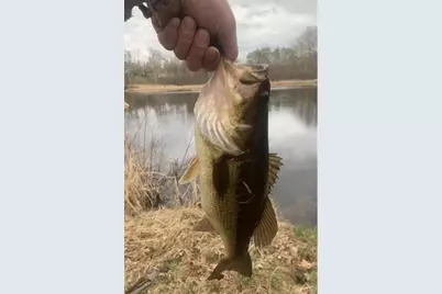 520 N Campbell Road, Fountain, MI 49410 - Photo 73