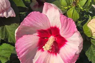 2940 Eldora Ct SW, Byron Center, MI 49315 - Photo 19