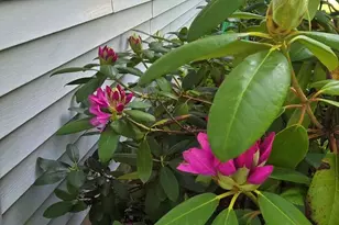 2940 Eldora Ct SW, Byron Center, MI 49315 - Photo 17