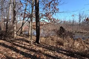 18821 Brownsville St, Cassopolis, MI 49031 - Photo 9