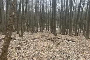 9735 Pere Marquette Dr, Stanwood, MI 49346 - Photo 1