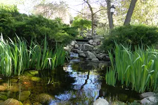 6679 W Timber Ln, Ludington, MI 49431 - Photo 37