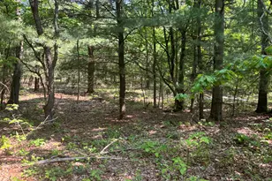 5341 Baseline Rd, Grand Junction, MI 49056 - Photo 3