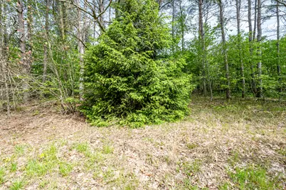 0A Linke Rd Road, Bridgman, MI 49106 - Photo 17