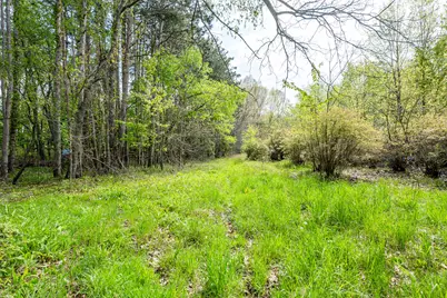 0A Linke Rd Road, Bridgman, MI 49106 - Photo 9