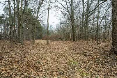 0A Linke Rd Road, Bridgman, MI 49106 - Photo 9