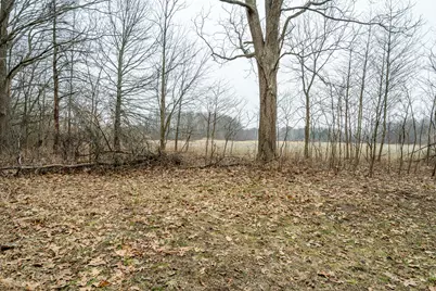 0A Linke Rd Road, Bridgman, MI 49106 - Photo 7