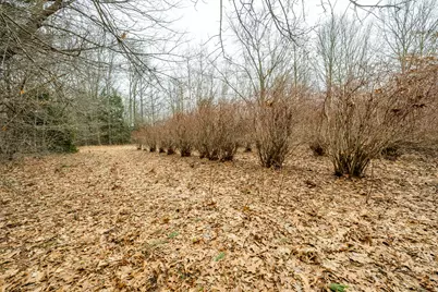 0A Linke Rd Road, Bridgman, MI 49106 - Photo 13