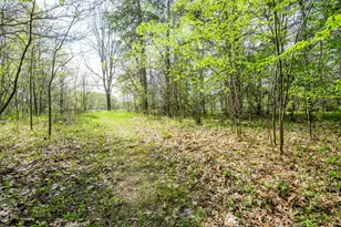 0A Linke Rd Rd, Bridgman, MI 49106 - Photo 1