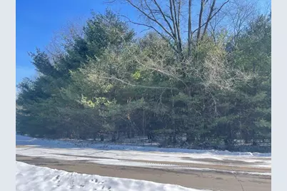 9086 Forest Pines Drive, Mecosta, MI 49332 - Photo 3