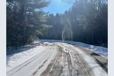 9086 Forest Pines Drive, Mecosta, MI 49332 - Photo 11