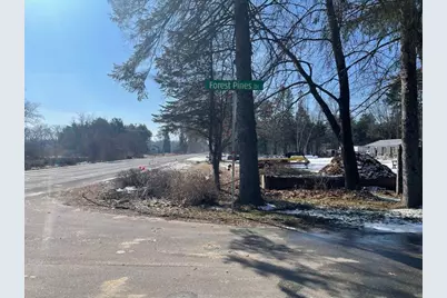 9098 Forest Pines Drive, Mecosta, MI 49332 - Photo 11