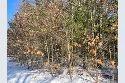 9098 Forest Pines Drive, Mecosta, MI 49332 - Photo 5