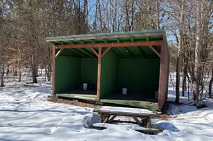 12355 9 Mile Rd, Kaleva, MI 49645 - Photo 47