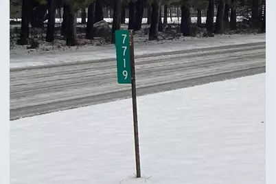 7737 NE County Line Road, Riverdale, MI 48877 - Photo 31