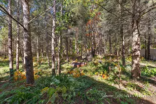 15777 Rannes St, Spring Lake, MI 49456 - Photo 9