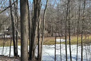 9570 Pere Marquette Dr, Canadian Lakes, MI 49346 - Photo 1