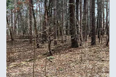 0 Leapfrog Lane #3, Fennville, MI 49408 - Photo 5