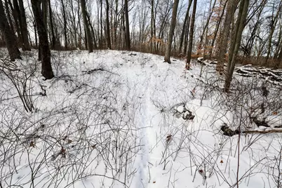 11150 W Drive N, Bellevue, MI 49021 - Photo 3