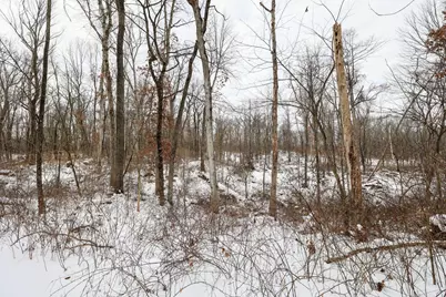 11150 W Drive N, Bellevue, MI 49021 - Photo 35