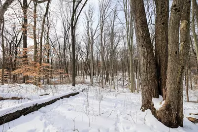 11150 W Drive N, Bellevue, MI 49021 - Photo 43