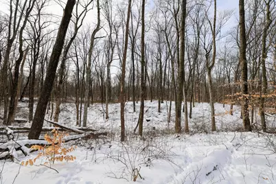 11150 W Drive N, Bellevue, MI 49021 - Photo 41