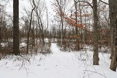 11150 W Drive N, Bellevue, MI 49021 - Photo 37