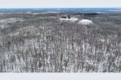 11150 W Drive N, Bellevue, MI 49021 - Photo 27