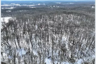 11150 W Drive N, Bellevue, MI 49021 - Photo 31