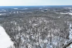 11150 W Dr N, Bellevue, MI 49021 - Photo 1