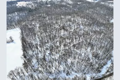 11150 W Drive N, Bellevue, MI 49021 - Photo 13