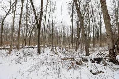 11150 W Drive N, Bellevue, MI 49021 - Photo 33