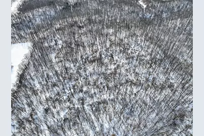 11150 W Drive N, Bellevue, MI 49021 - Photo 11