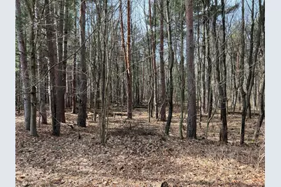 0 Leapfrog Lane #4, Fennville, MI 49408 - Photo 9