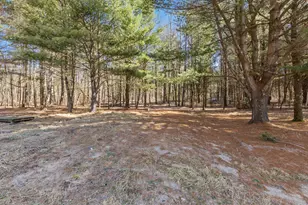 1066 Fisk Dr, Morley, MI 49336 - Photo 21