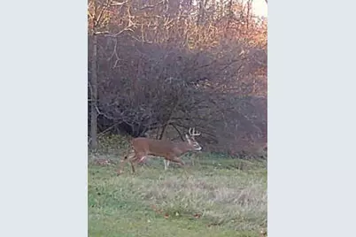 19820 Ivey Road, Chelsea, MI 48118 - Photo 39