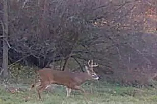 19820 Ivey Rd, Chelsea, MI 48118 - Photo 39